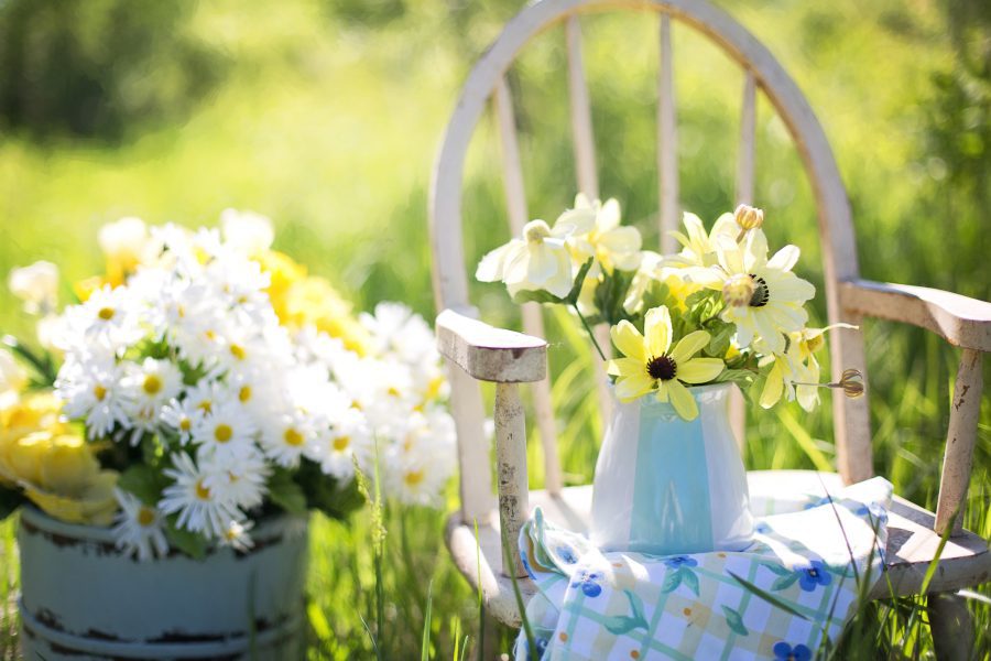 Kwiaty w ogrodzie – jakie wybrać? Najpiękniejsze kwiaty do ogrodu łatwe w uprawie
