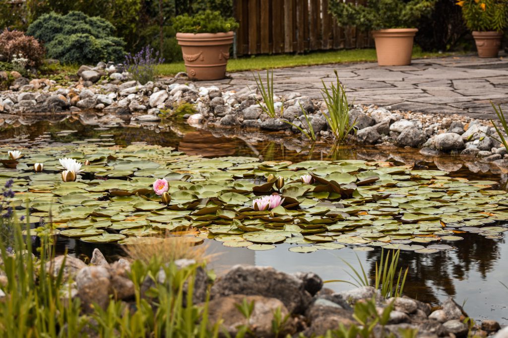 Mała kaskada wodna w ogrodzie - dekoracja oczka wodnego